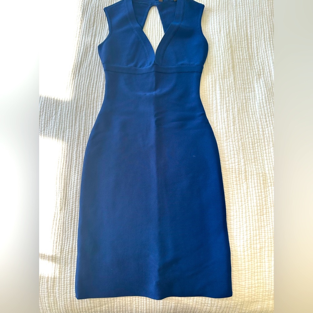 BCBGMaxazria Bodycon Dress